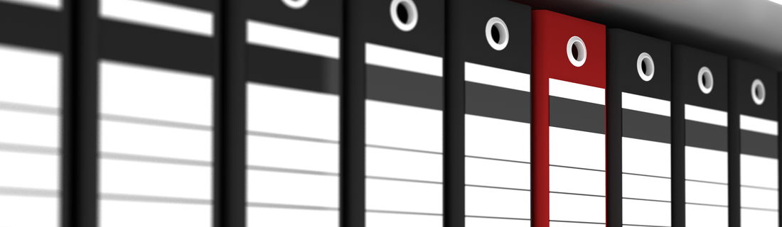 Company filing duties and responsibilities Company filing duties and responsibilities