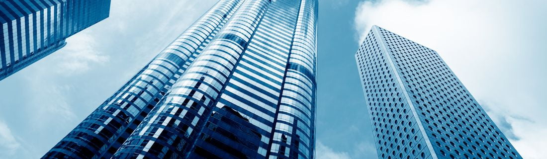 MLR for Corporate Owners MLR for Corporate Owners